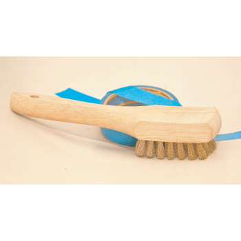 Brass bristle tire brush