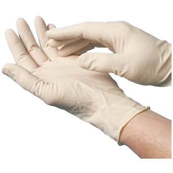 Latex Exam Gloves- Large